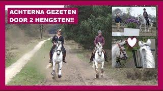 Buitenrit met vader van Illustro | Working Equitation les | Vlog #82 | snuitable