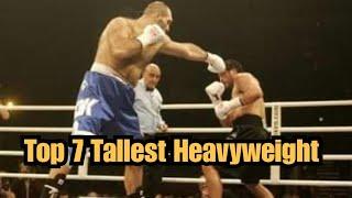 TALLEST HEAVYWEIGHT BOXERS