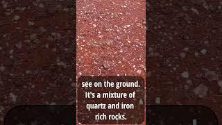 Gold Prospecting - Is Salt & Pepper A Good Gold Indicator? #shorts