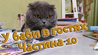 У баби в гостях. Частина 10