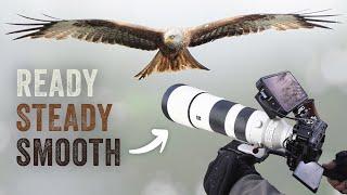 How you get SMOOTH & STEADY wildlife footage