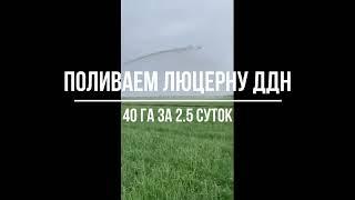 Полив люцерны дождеванием (ДДН): 40га за 2.5 суток. Отзыв об установке. Купить +79183336070