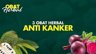 3 Obat Herbal Terbukti Mencegah Kita dari Penyakit Kanker | Hidup Sehat