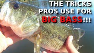 This EASY Trick Catches TONS Of Nice Winter Bass!!!!!