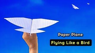 paper plane (flying like a bird), how to make paper bird plane, best flying plane like a bird