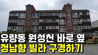 [완료]유량동 원성천 바로옆 정남향 빌라 구경하기