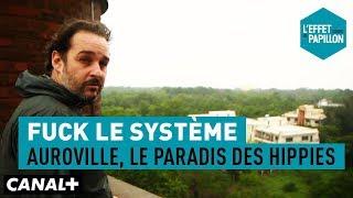 Fuck le système : Auroville, le paradis des hippies - L’Effet Papillon