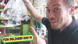 Fish Delivery Day Unboxing  IT ARRIVES!!!! (Snake Island Exotics) #fish #unboxing #aquarium