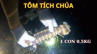 Scuba Diving Under 30m Depth To Hunt Mantis Shrimp