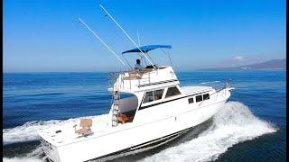 Whale Watching Marietas & Recreational Boat Trips | Custom 36