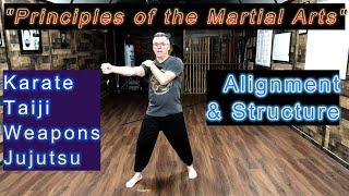 "Alignment & Structure" Principles of the Martial Arts #5 Michael Calandra