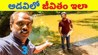 USA Telugu Vlogs