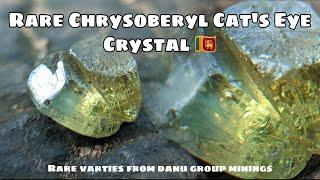 Rare Natural Chrysoberyl Cats Eye Crystal from Sri Lanka - Alluvial Gem Deposit in Rakwana