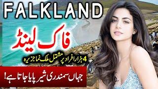 Travel To Falkland island | Full History Documentary About Falkland In Urdu | فاک لینڈ کی سیر