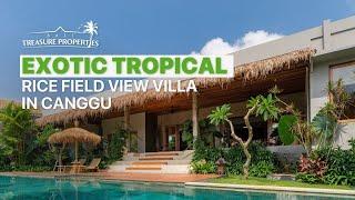 EXOTIC TROPICAL VILLA FACING THE RICE FIELD IN CANGGU, BALI, INDONESIA #balivillas