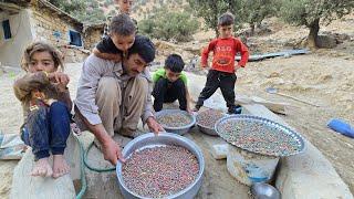 Mr. Qorboun, his children and the donkey in the mountains: mountain pistachios and returning home