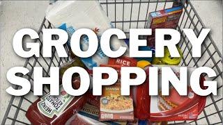 Come Grocery Shopping With Me VLOG! Shopping With The Boul!