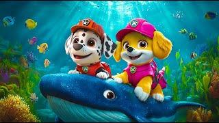 Paw Patrol Dog Rescue | OMG...Marshall and Skye Ride a Whale at the AquariumVery Funny Story