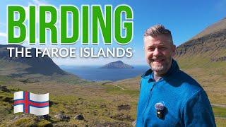 ALL YOU NEED TO KNOW ABOUT BIRDING THE FAROE ISLANDS