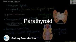 Parathyroid, Biology Lecture | Sabaq.pk