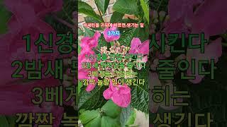 #바세린 귀뒤에 바르고 #건강 #웃음 찾으세요