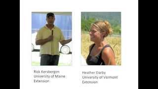 Organic Dairy Forages: Focus on Summer Annuals Webinar by eOrganic