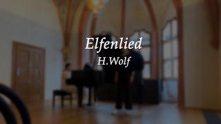 Elfenlied(Mörike-Lieder) / H.Wolf / Soprano Elisabeth Eunsoo Lee / 소프라노 이은수