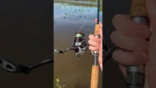 How to Choose a Fishing Rod! 