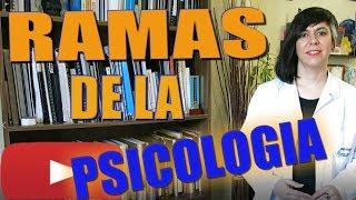 Ramas de la Psicología (Psicólogos Madrid en Getafe)