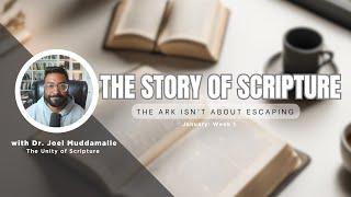 The Story of Scripture: The Ark Isn't About Escaping