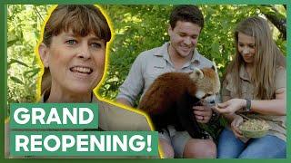 The Irwins Gear Up For Australia Zoo’s Grand Reopening! | Crikey! It's The Irwins