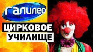 Галилео. Цирковое училище  Circus school