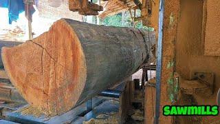 Sawmill. red Meranti sawmill process