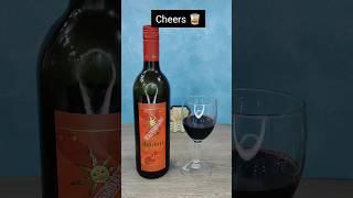 Sula Dindori Wine Review #shorts