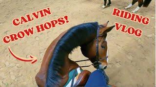 OUR MOST EXCITING LESSON YET! Calvin's Wild Crow Hops | Horse Riding Vlog