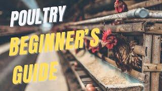 Poultry farming full guide for beginners - The FarmGuide Sn1 E2