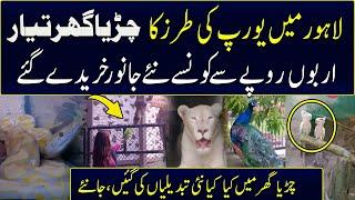 Lahore Zoo Reopened after Renovation | Europe Style Zoo | Complete Tour | New Animals | 92 Digital