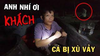 Nữa đêm Ông Chủ Trại Cá Betta gặp vị khách không mời mà tới