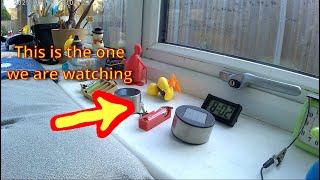 UPDATE on Solar charging a zinc chloride Non Rechargeable battery 20250617