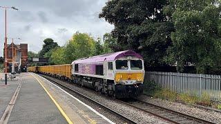 Trains at Water Orton XCR (11/07/24)