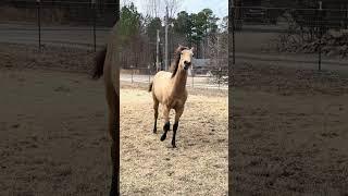 Mystique Stretching Her Legs