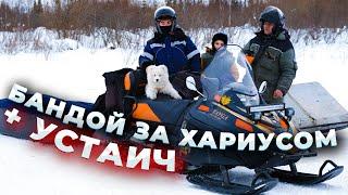 Устаич в деле/Рыбалка на Хариуса/Расставили жерлицы /#КАЮР