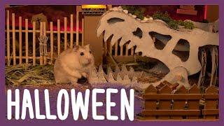 [ENG Sub] Hamster Halloween