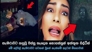 කැමරාවට හසුවූ හොල්මන් part 88, Paranormal Activity ,kazzai ,holman / ghosts explained sinhala #ghost