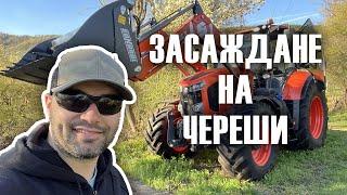 Засаждане на череши с трактор Kubota | Cherry trees planting with Kubota tractor