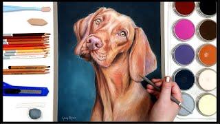 How to Draw a Dog using Pan Pastels and Pastel Pencils // Useful Tips for Realistic Drawing