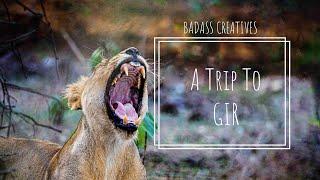 A trip to Gir | Badass Creatives | Sasan Gir | Gujarat | Gir Forest | Gir Resort | Somnath Adventure