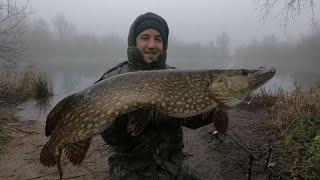 Pike Fishing with Dead Baits  (Gravel Pit Monster!)