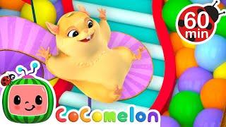 Hamster vs Maze  Hamster's Great Escape!  + MORE CoComelon Nursery Rhymes & Kids Songs