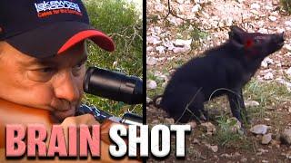 Hog Hunt With Airgun HD - GAMO Hunter Extreme .25 caliber